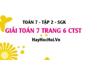 Giải Toán 7 trang 6 tập 2 Chân trời sáng tạo SGK